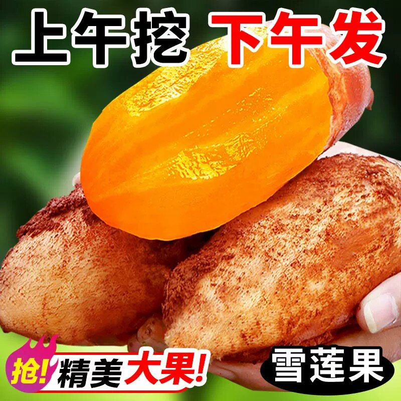2026年云南天山雪莲果红心新鲜水果当季整箱雪连果9斤水莲果包邮