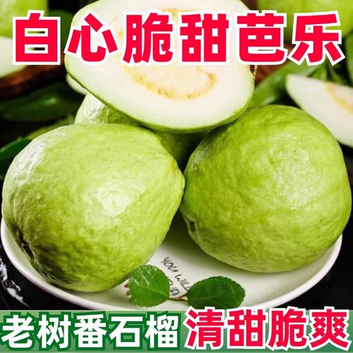 广西番石榴1-5斤软白心芭乐水果新鲜包邮当季芭乐果香甜潘石榴
