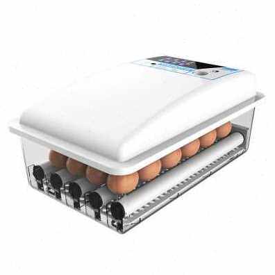 新品爆品新新品1224枚小w型全自动孵化器家用型孵化机鸡鸭鹅孵蛋