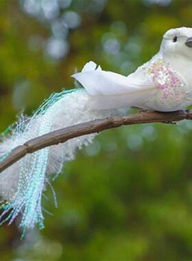 极速12Pcs Modern Simulation Birds Vivid Acacia BirdZ Decor