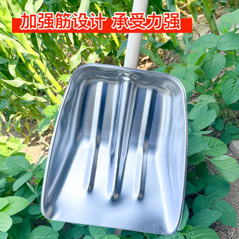 极速不锈钢铲子大号粮食铲加厚饲料铁锹铲雪锹清粪铲垃Z圾簸箕农,农机/农具/农膜,锹,淘宝优惠券,粉丝福利购,淘宝优惠卷