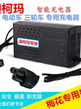 极速澳柯玛专用电动车电瓶充电器24V36V4C8V12AH60V20AH72V30AH梅