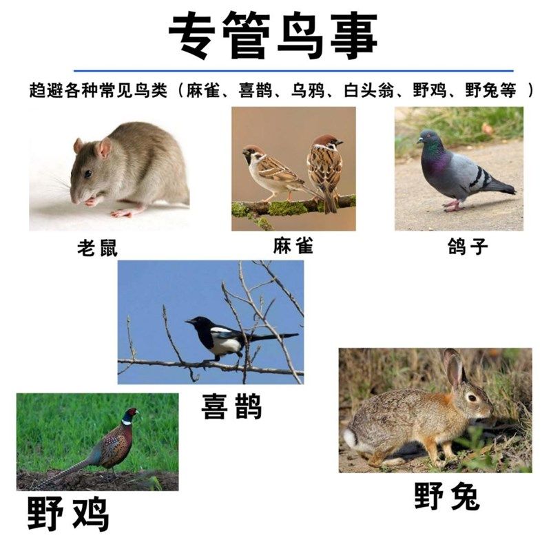 极速吊袋驱鸟肥玉q米花生大豆葵花西瓜鼠兔羊鸟肥料,农用物资,有机肥,淘宝优惠券,粉丝福利购,淘宝优惠卷