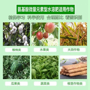 极速氨基酸叶面肥果树蔬菜花卉绿植通用微K量元素促根生根冲施水
