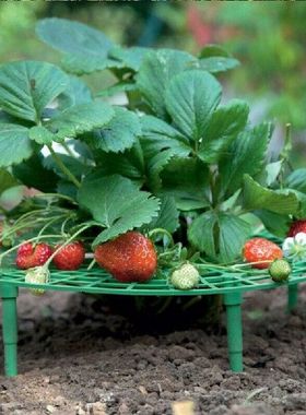 极速1 pcs Balcony Voegetable Rack Fruit Stand Strawberry Sta