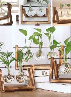 极速Bonsai Decjor flower vase Plant Transparent Vase Wooden