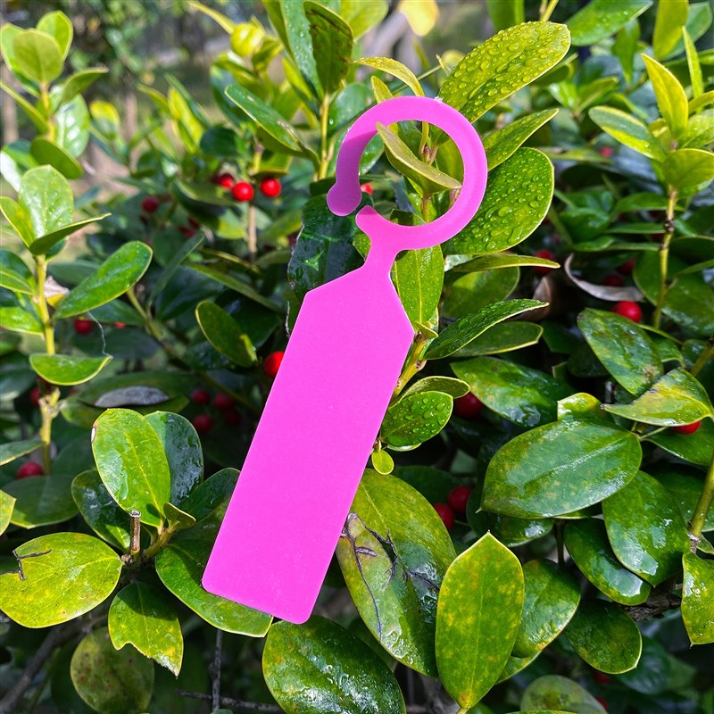 极速塑料植物园艺标签记号牌环扣C标记牌加厚绿植果树吊牌挂牌环