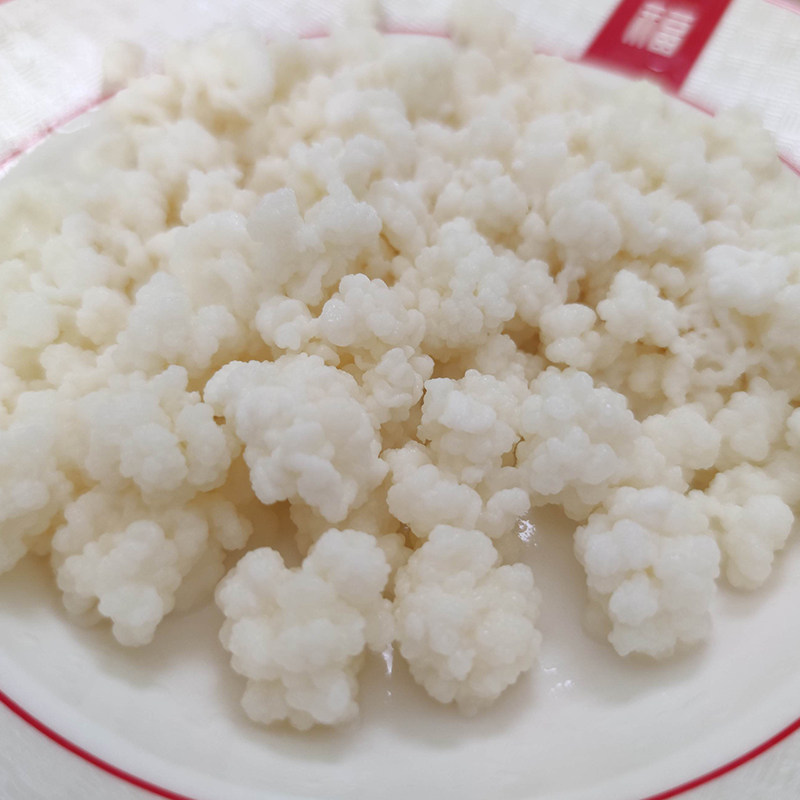 极速开菲尔c菌种非雪莲藏灵菇自制酸奶发酵豆浆椰浆大颗粒母种不
