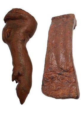 极速Fake Artificial pigs Feet Legs Shop DecoPration Pretend