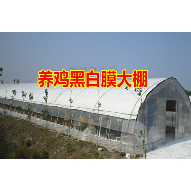 极速新品搭建625/mj825热浸镀锌钢管钢架大棚骨架养殖鸡鸭鹅猪舍