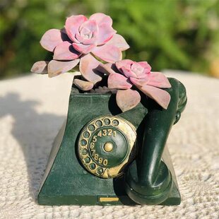 极速多肉创意花盆放客厅小盆栽礼A物复古老式电话机摆件老物件202