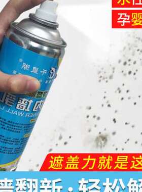 新品墙面喷漆罐卧室专用涂鸦一喷白乳胶漆L室内家用涂料白色内墙