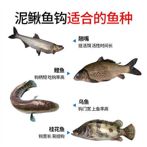 极速小凤仙挂f泥鳅钓翘嘴钩泥鳅活饵筏钓钩细条鱼钩散装路亚倒钓