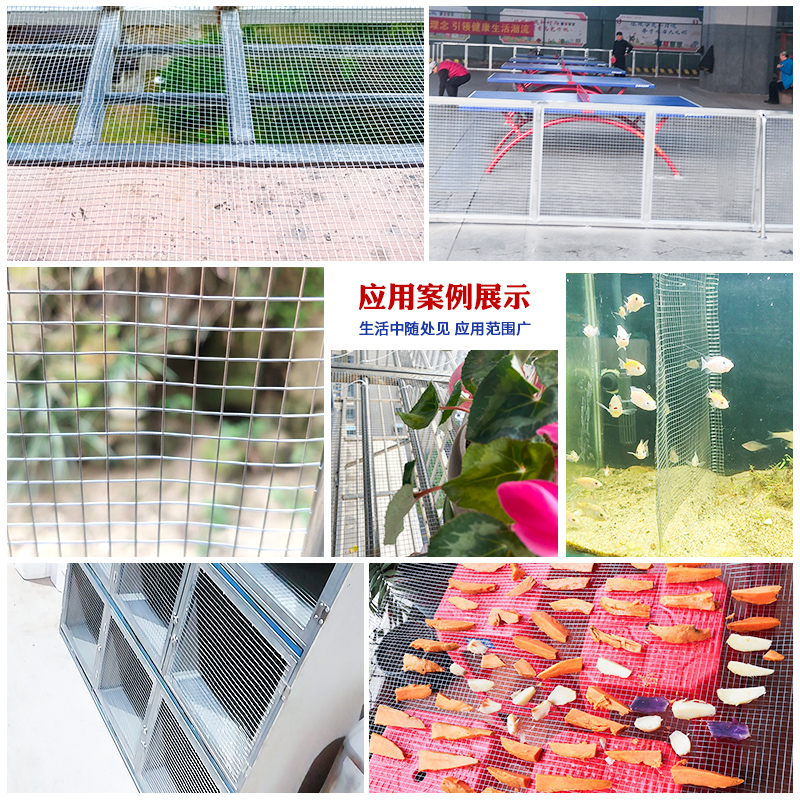 极速不锈b钢电焊网304筛网养殖围栏网片E护栏阳台防护网钢丝网格