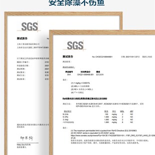 极速除藻剂绿藻褐藻鱼缸除绿苔清C除灭藻剂除苔剂除绿水水绿去绿