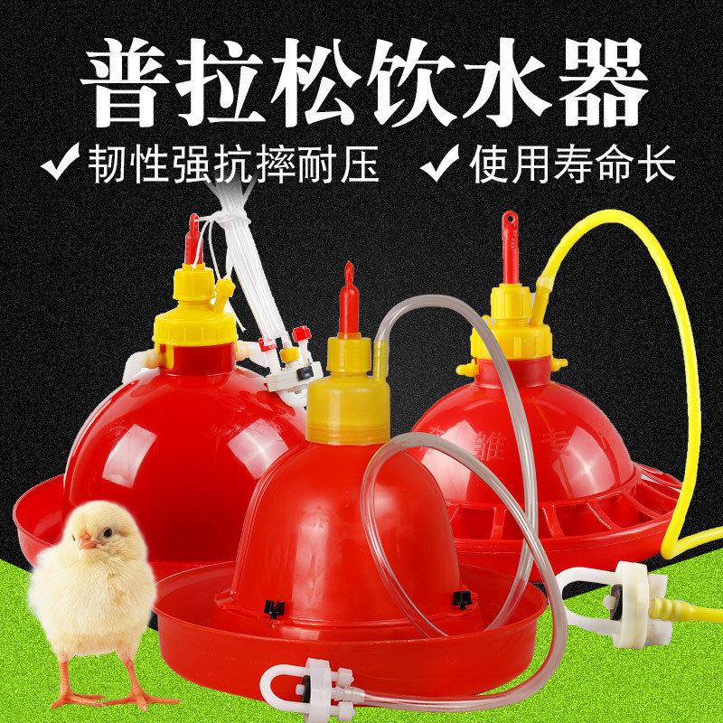速发新款普拉松禽鸡自动饮水器养鸡加厚鸡喂水器饮水壶家用养殖场