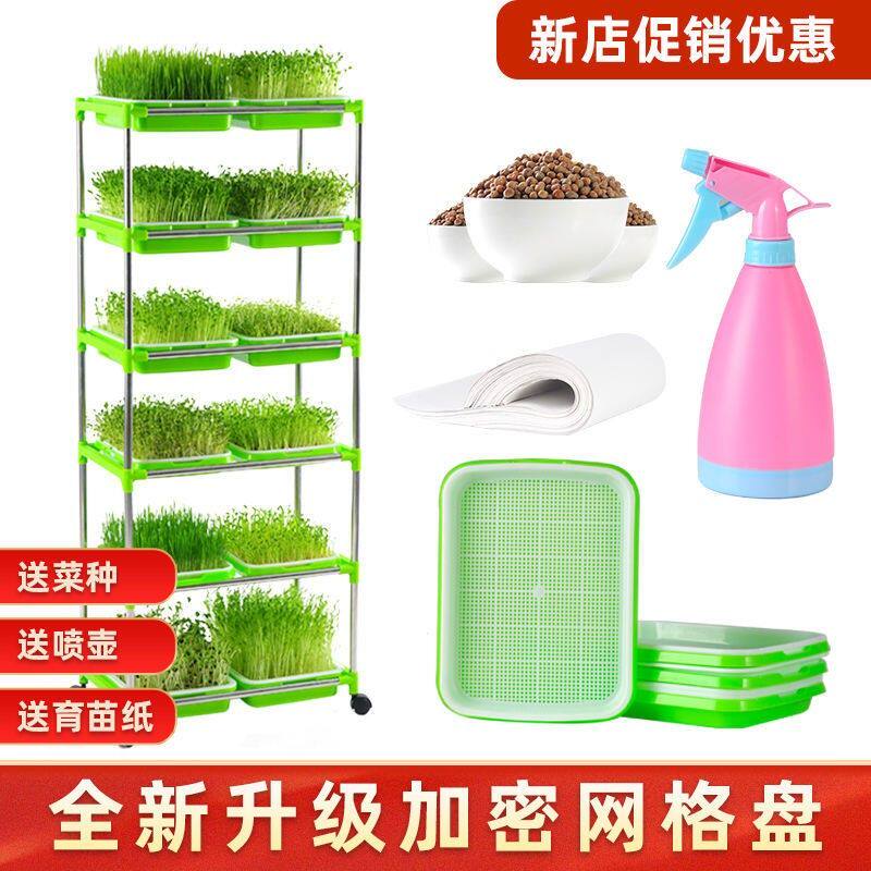 速发育土盘水培盆生豆芽发芽盆神器无苗栽培种植盘芽苗菜豌豆苗育