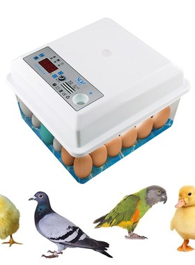 速发2c Eggs Icur Brooder Bird Qul Chi Hatcheby I0uba