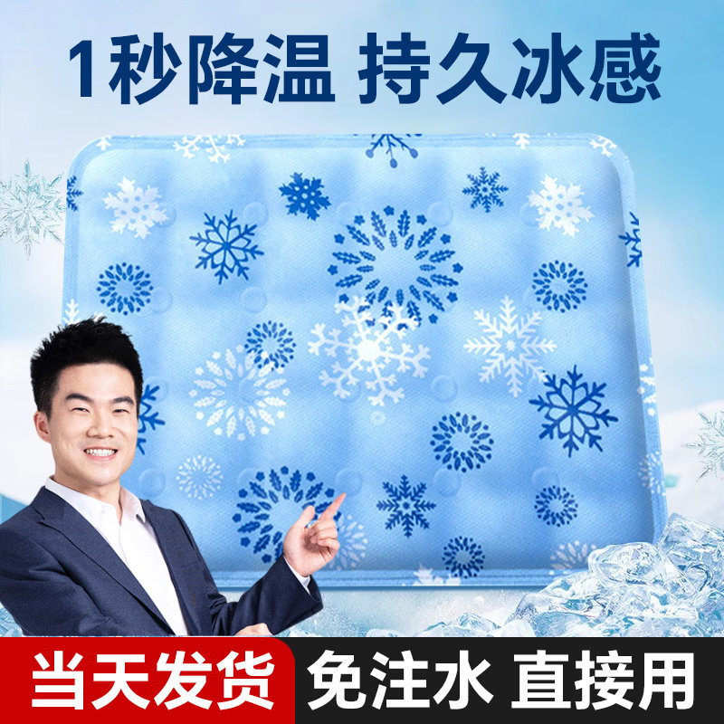 速发夏室降温冰垫坐垫水垫公凉垫水床垫学生办子季凝胶冰枕头汽车