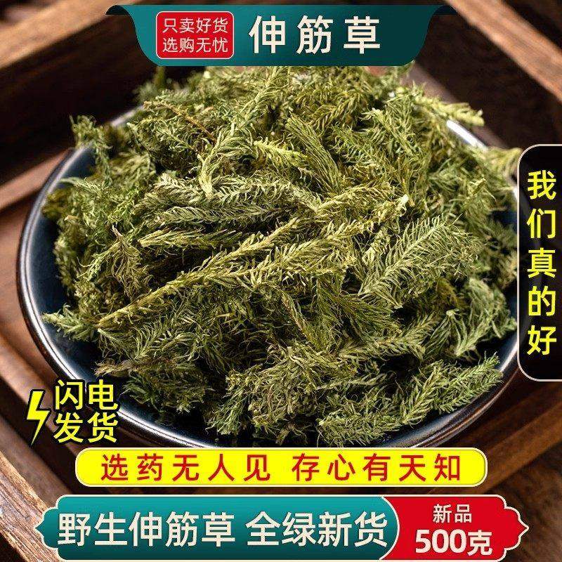 中药材特级野生伸筋草500g正品舒筋草另售海风藤远志益智仁透骨草,传统滋补营养品,养生丸,淘宝优惠券,粉丝福利购,淘宝优惠卷
