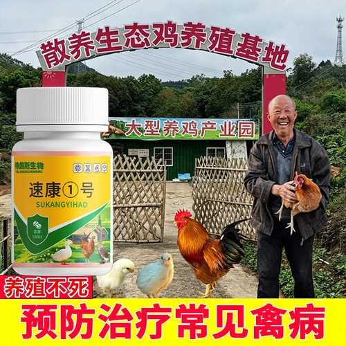 鸡呼吸道速康一号100片家禽专用养鸡常备用品鸡场用品小鸡开口