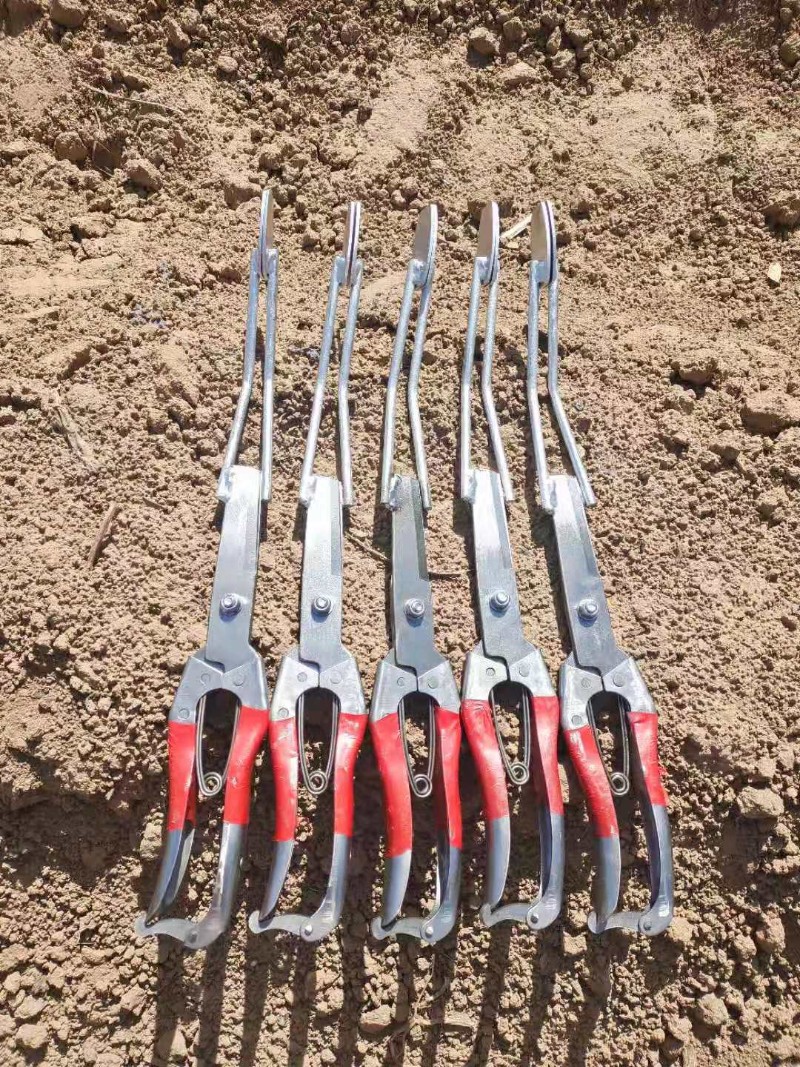 栽红薯苗神器插秧栽苗器农用工具移栽器栽地瓜种T烟薯紫薯辣椒机