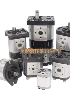 液压油泵CBF-F410F412.5F414F416F418F420F432E440合肥长源齿轮泵