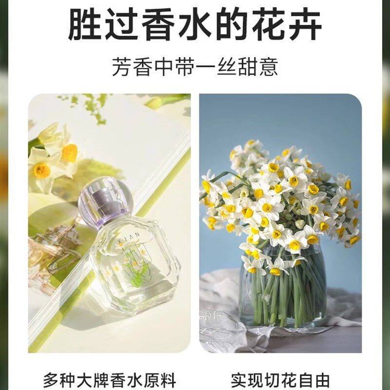 速发漳州水仙花盆栽水养百合花风信子郁金香种球四季易活耐寒花卉