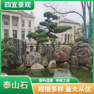 泰山石假山石驳岸石园林景观石富贵绿石雪浪石切片庭院枯山水造景