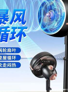 钻石牌25新款空气循环扇电风扇静音落地扇家用摇头遥控台式宿舍TT