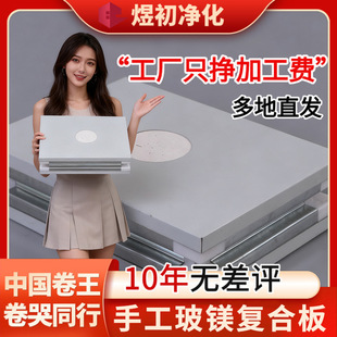手工玻镁复合板玻镁夹芯板保温隔热防火实验室无尘车间工程净化板