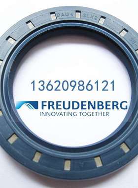 CFWBAU4SLX262-120-12/8德国SIMRIT科德宝进口骨架油封