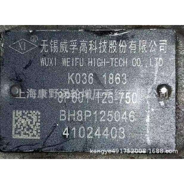 适用华柴的喷油泵 电调 BH8P125046 8P601-125-750 K036 1863