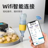孵化器小型家用全自动智能孵蛋器1 4吋套筒扳手碟芦丁鸡孵化机孵