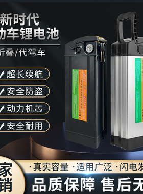 工厂直销全新锂电瓶海霸银鱼折叠电动车锂电池48v大容量代驾车