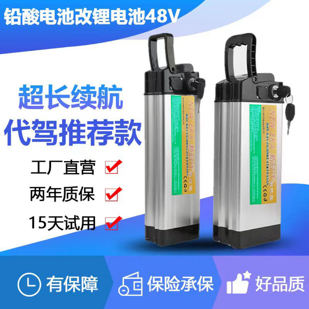 新时代48v20A代驾车全新三元锂