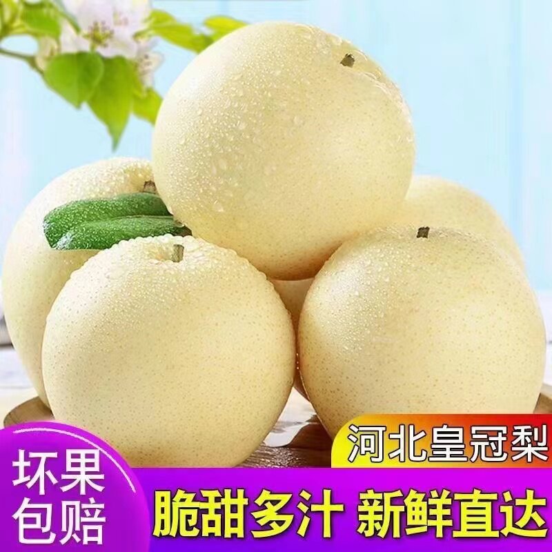 新鲜梨子河北皇冠梨10斤整箱包邮当季水果现摘砀山皇冠梨5雪梨