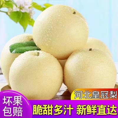 新鲜梨子河北皇冠梨10斤整箱包邮当季水果现摘砀山皇冠梨5雪梨