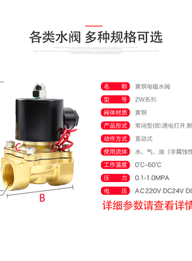 UD-10二位二通电磁阀水阀气阀 2W040-10 AC220V DC24V 3分G3/8