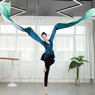 京剧业目专剧表演身韵基训练功汉服男通 新古典舞水袖 速发北舞版 款