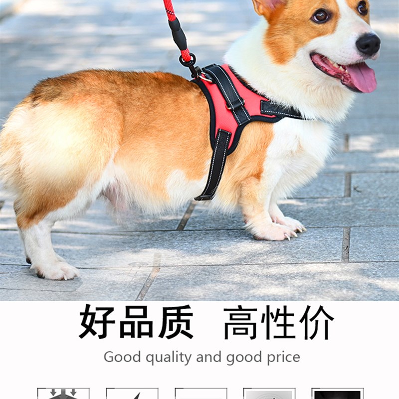 速发狗链子中大型金犬胸毛背带阿拉斯加遛狗绳用品牵引