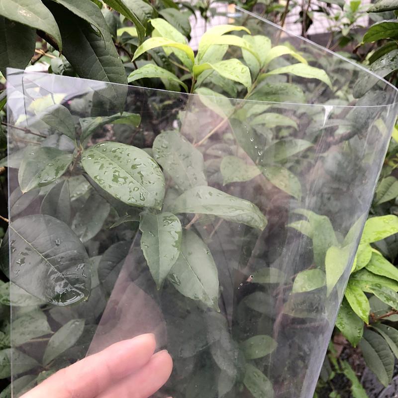 pcUAP0S_16c塑料板高透明pv卷材/薄片pvc胶保护片膜pvc玻料璃塑