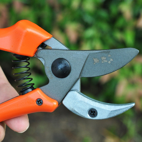 台湾进口修枝剪刀树枝剪果树剪子园艺剪刀园林粗枝剪修花枝剪神器