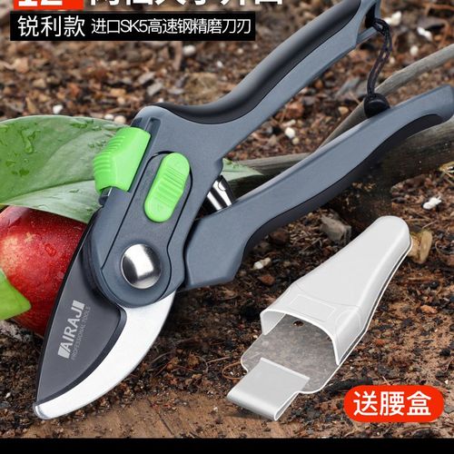 日本进口修枝剪园艺专用剪刀德国园林不锈钢修花果树省力花卉花剪