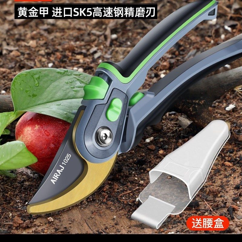 剪树枝专用剪刀采修枝摘花果树园艺粗枝电剪子林木条工具大剪子
