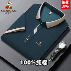 稻草人100%纯棉男士夏季POLO衫休闲百搭宽松翻领短袖t恤刺绣上衣