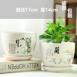 速发家用带盆陶瓷花托盘大号特大蝶蝴兰清仓多肉花盆亏本手绘艺术