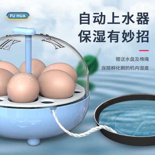 速发孵蛋器迷你孵化器小型家用孵化机全自动智能芦丁鸡鹌鹑孵化箱