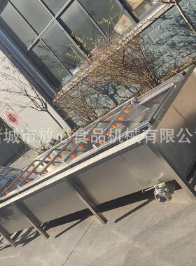 果蔬FX-600菜气泡清洗机全自动不锈钢泡清洗设备多功淋能蔬喷气式