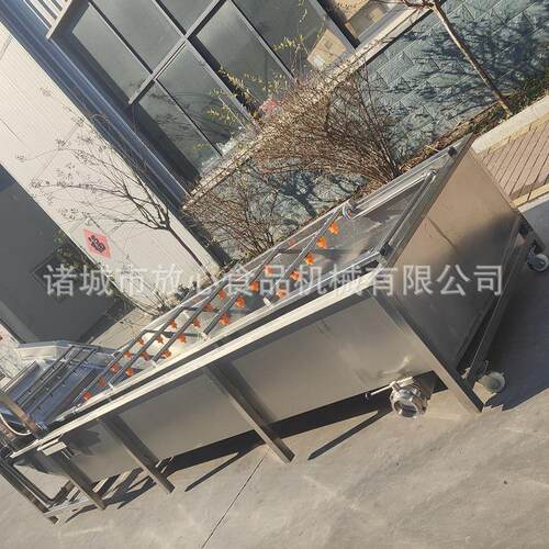果蔬FX-600菜气泡清洗机全自动不锈钢泡清洗设备多功淋能蔬喷气式